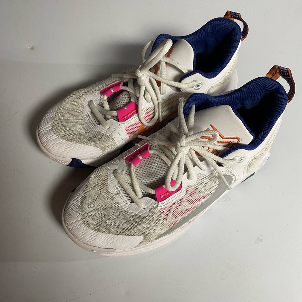 Nike Giannis Basketball shoes